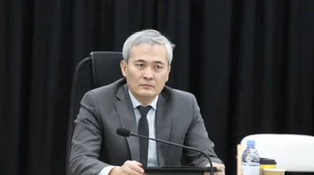 Мәслихат пен Қоғамдық кеңес мүшелері Алматының жаңартылған Бас жоспарының жобасын бірлесіп қарады