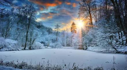 Қысқы күн тоқырауы: ғалымдар ең қысқа күнді атады