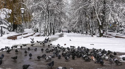 Қар, көктайғақ, бұрқасын: бүгінгі ауа райы болжамы