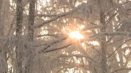 Боран, көктайғақ: Алдағы үш күнде ауа райы қандай болады