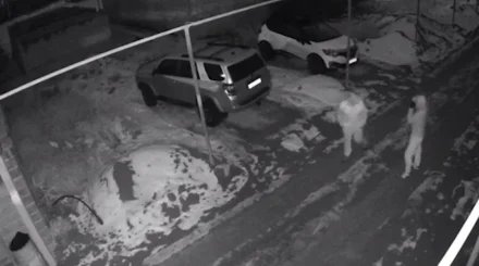 Алматыда пәтер ұрлық жасаған күдіктілер ұсталды