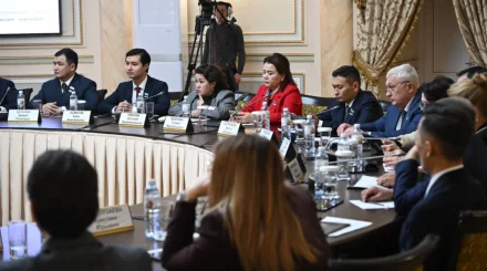 «Қатты отын жағатын шағын ғана монша немесе кәуапхана ауаны жүздеген метрге дейін ластауы мүмкін» – сарапшы