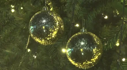 Теміртауда жаңажылдық шыршаны өртеген тұрғын 10 тәулікке қамауға алынды