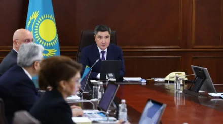 Олжас Бектенов жекеменшік мектептер мен клиникаларды артық субсидиялауды тоқтатуды тапсырды