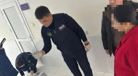 Емхана басшысынан ақша бопсалаған: Түркістан облысында блогер ұсталды