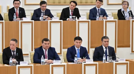 Пропорционалды сайлау жүйесі саяси күштердің қоғам алдындағы жауапкершілігін күшейтеді – Қарин