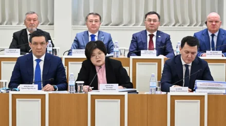 Вице-президент өкілеттігіне қатысты талаптар қандай – Конституциялық реформа
