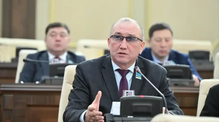 Қазақстанда саяси партияларды шетелдік қаржыландыруға тыйым салу ұсынылды