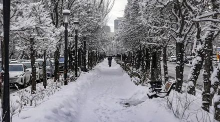 Кей өңірде қар жауады: жексенбінің ауа райы болжамы
