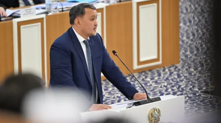 Жаңа Конституцияда терминологиялық алшақтықтарды жою керек – Талғат Нәрікбаев