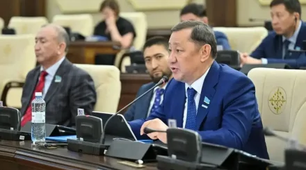 Депутат моноқалаларды дамытудағы жүйелі мәселелерді көтерді