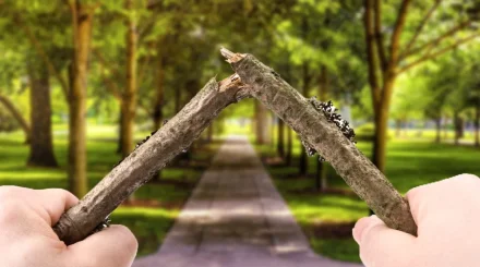 Енді әкімдіктер де полиция сияқты қазақстандықтарға айыппұл сала алады