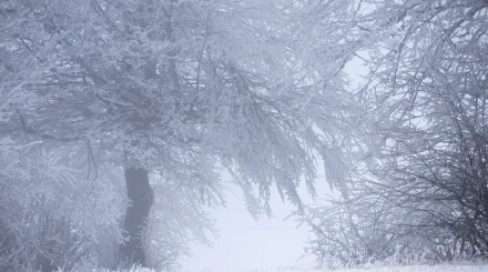2 ақпанда бірқатар өңірде қар жауып, боран соғады