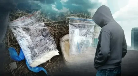 Қызылордада тыйым салынған затты жарнамалаған 1500 сайт анықталып, 2 тоннаға жуық есірткі тәркіленді