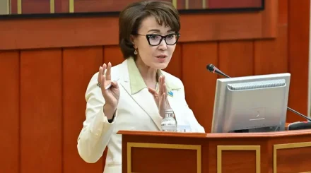 Үнзила Шапақ Конституция жобасы демократиялық қағидаттарға сай екенін айтты