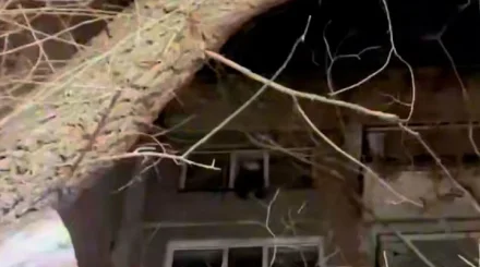 Қарағандыда 8 жасар қыз бала 5-қабатта терезенің сыртқы жақтауына шығып алған (ВИДЕО)