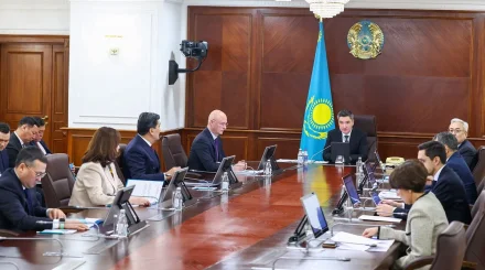 2,9 млн ағаш отырғызылды: Үкіметте «Таза Қазақстан» бастамасының жүзеге асырылу барысы қаралды