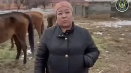 Түркістанда 21 жылқысынан көз жазып қалған әйел полицияны ыңғайсыз жағдайға қалдырды (ВИДЕО)