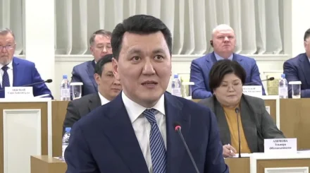 Ерлан Қарин: қолданыстағы Конституция кеңестік дәуірдің лекcикасымен жазылған