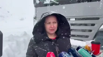 «Бір айдан кейін босанады»: Жамбыл облысында «КамАЗ» жүргізетін көпбалалы әйел қарға батып қалды (ВИДЕО)