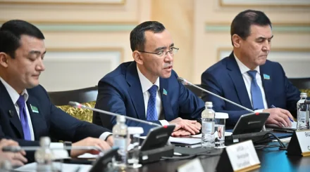 Мәулен Әшімбаев: Конституция бойынша референдум – саяси жүйені демократияландыру жолындағы маңызды қадам