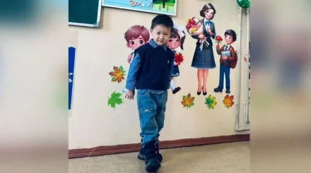 «Тіпті 5-6 сынып оқушылары шеше алмайтын есепті біледі»: Қазығұртта төрт жасар «wunderkind» бала тұрады