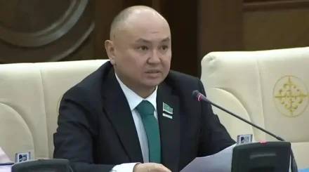 Ерлан Саиров Құрылтай мен Халық кеңесі институтының функцияларына тоқталды