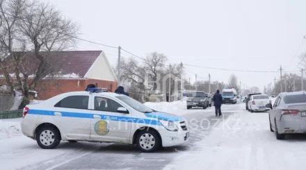 «Ата-анасы мен қарындасын өлтіріп, бөлшектеп тастаған»: Астана маңындағы ауылда жантүршігерлік қылмыс болды