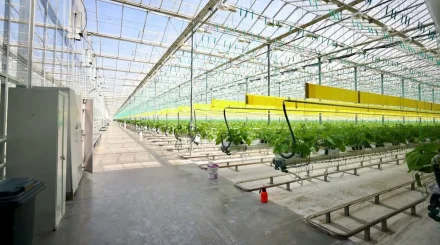 Алматы облысында коалиция мүшелері «Green Land Alatau» жылыжай кешенінің ұжымымен кездесті