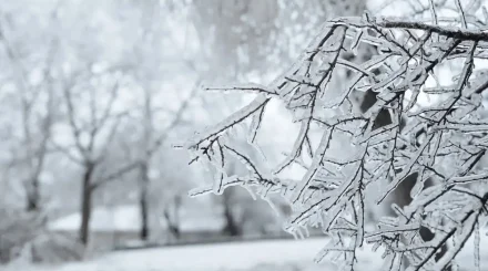 Қазақстанның 13 өңірінде дауылды ескерту жарияланды