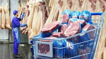 Қазақстан бір аптада БАӘ-ге 7 тонна қой етін экспорттады