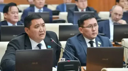 Депутат жұма күні сайын мемлекеттік қызметшілерді жұмыстан толық босатып, кітапханаға жіберуді ұсынды