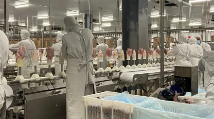 Макинск құс фабрикасында жазатайым оқиға болды – жұмысшы зардап шекті