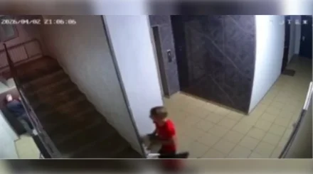 Қабырғаға соғып, үстіне секірген: Алматыда мысықты қинаған жасөспірімнің видеосы жарияланды