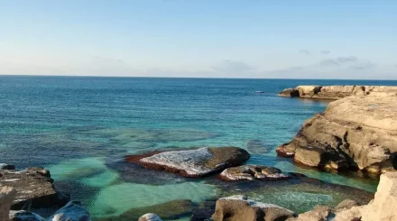 Каспий жойылып кете ме: Шетелдік ғалым нақты болжам айтты