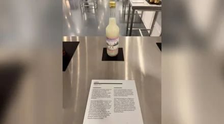 «Өлген тышқанның тұнбасы мен жылан да бар»: Германиядағы музей қымызды «біртүрлі» тағамдардың жанына қойған (ФОТО)