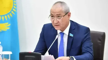 Бұралқы иттерді бақылау жайлы заң: халықаралық тәжірибе және Үндістанның моделі