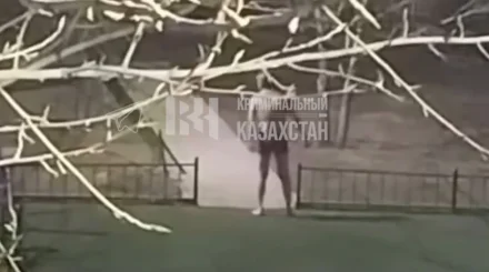 Астанада пышақ ұстаған жалаңаш ер адам жұрттың зәресін ұшырды (ВИДЕО)