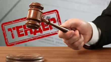 Алматыда жалған тендер арқылы 490 млн теңге табыс тапқан 11 адам анықталды