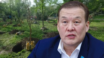 Легализуют гибель до 70% саженцев: мажилисмен потребовал ужесточить контроль за озеленением