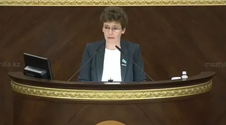 Как будут регулировать онлайн-благотворительность в Казахстане, рассказала депутат Мажилиса