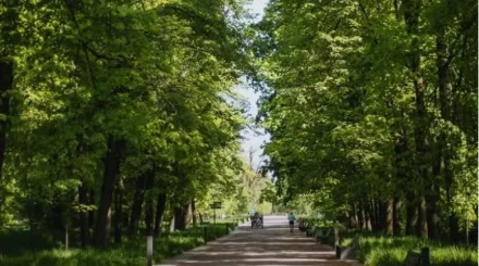 Главный ботанический сад Алматы закроют для посетителей