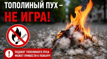 Поджог тополиного пуха может обернуться штрафом и уголовным делом