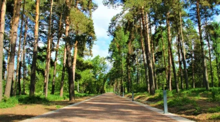 Ботанический сад Алматы закроют для посетителей на один день