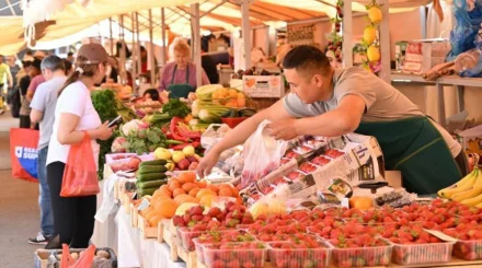 Где искать самую вкусную клубнику без переплат в Алматы