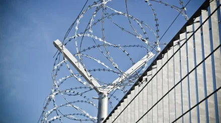 Кто выйдет на свободу по амнистии в Казахстане: МВД раскрыло подробности