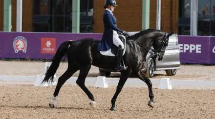 Казахстанка взяла серебро турнира FEI Dressage в Астане