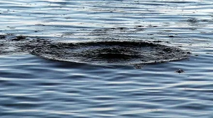 Два студента из Индии утонули в водохранилище в Караганде