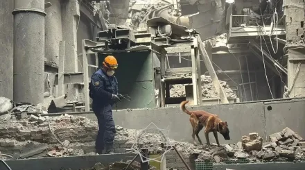Шыңғыс Әрінов «Қазмырыш» зауытындағы алапат жарылыстың себебін болжады