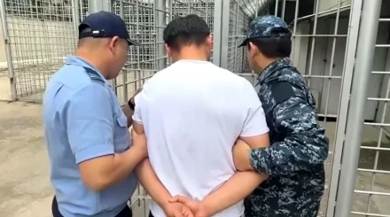Грузовик насмерть сбил ребенка на пешеходном переходе в Шымкенте